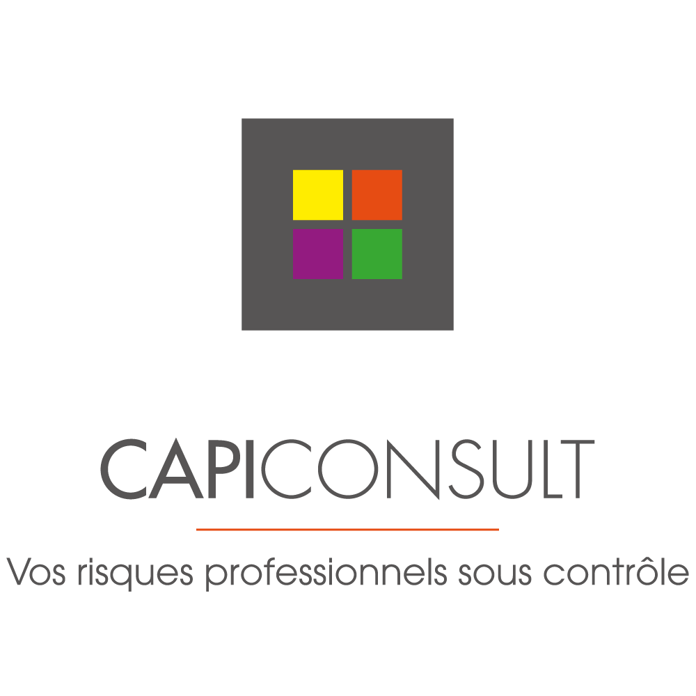 Logo CAPI Consult