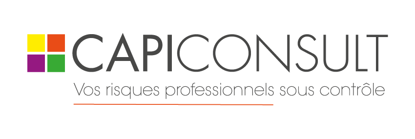 Logo CAPI Consult